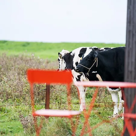 Tiny House Nature 6 Zur Kuhweide - Tiny Village Harlesiel Ferienhaus