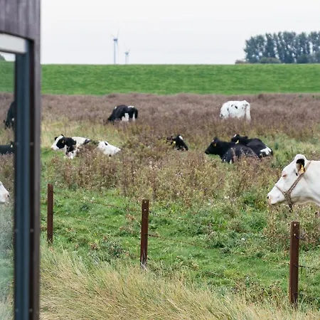 Ferienhaus Tiny House Nature 6 Zur Kuhweide - Tiny Village Harlesiel *