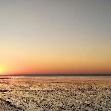 Tiny House Nature 6 Zur Kuhweide - Tiny Village Harlesiel Carolinensiel