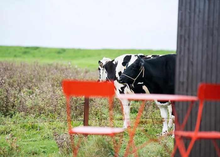 Tiny House Nature 6 Zur Kuhweide - Tiny Village Harlesiel 度假居