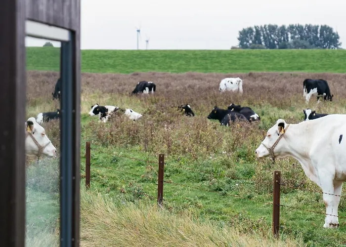 度假居 Tiny House Nature 6 Zur Kuhweide - Tiny Village Harlesiel *