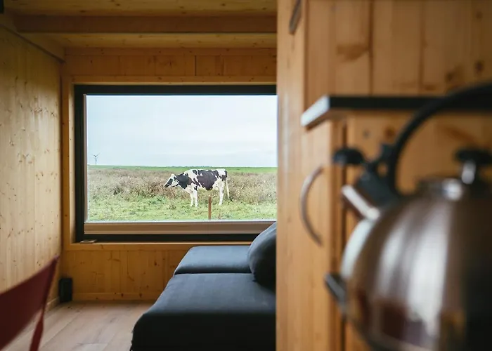 Tiny House Nature 6 Zur Kuhweide - Tiny Village Harlesiel * 卡罗利嫩西尔